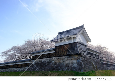 Cherry blossoms bloom in spring at Shoryuji Castle Park Cherry blossoms bloom in spring at Shoryuji Castle Park 133457280