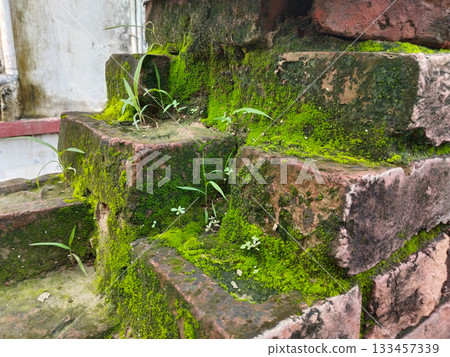 wall, brick, green 133457339