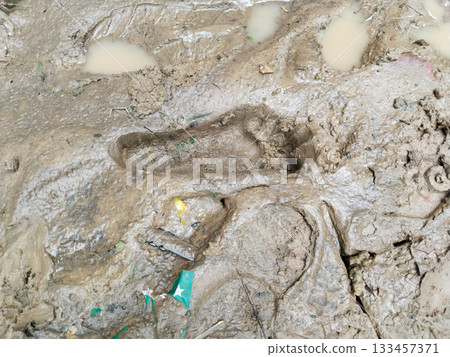 human foot print on mud. Foot mark on the rainy mud 133457371