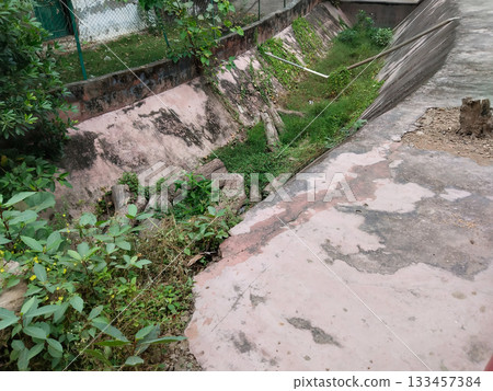 park canal, overgrown with grass and covered. man made empty canal, no maintenance park canal, overgrown with grass and covered. man made empty canal, no maintenance 133457384