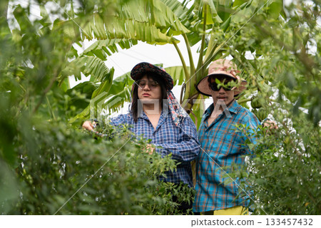 Two friends, part of the LGBTQ community, are harvesting chili peppers in a garden. Both are wearing casual outdoor attire, enjoying the gardening activity together in a vibrant, green environment. 133457432