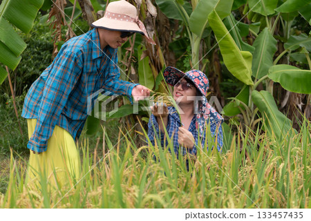 Two close friends, both LGBTQ, walk through their rice field, inspecting the harvest. They're dressed in hats and plaid shirts, enjoying their work in the peaceful Thai countryside. 133457435
