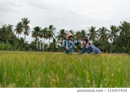 Two LGBTQ friends walking through a lush rice field in Thailand. They are dressed casually in plaid shirts, exploring the rice crop together, sharing a moment of connection. Two LGBTQ friends walking through a lush rice field in Thailand. They are dressed casually in plaid shirts, exploring the rice crop together, sharing a moment of connection. 133457439