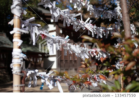 帶著一個願望 133457550