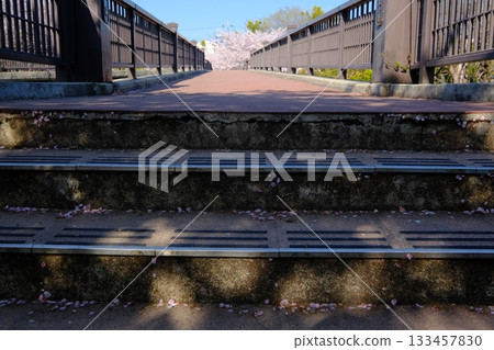 Spring scenery of Deai Bridge on the Fushimi Canal Spring scenery of Deai Bridge on the Fushimi Canal 133457830