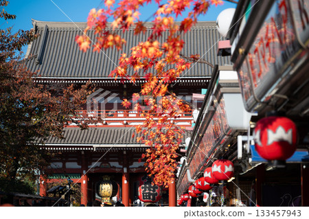 Autumn in Asakusa, Tokyo: Sensoji Temple Autumn in Asakusa, Tokyo: Sensoji Temple 133457943