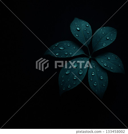 AI generated serene close up of blue green leaves with dew drops against a deep dark background creating a quiet reflective and peaceful mood 133458002