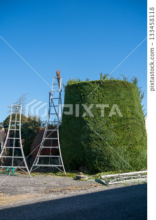 pruning, garden, gate 133458118