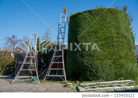 修剪 花園 院子 133458121