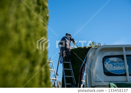 修剪 男人 男 133458137