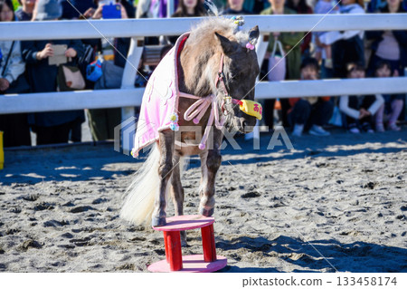 Shinozaki Ponyland, Edogawa Ward, Tokyo, 50th Anniversary Pony Festival, Ohagi Performance 133458174