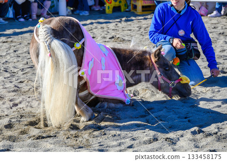 篠崎小馬樂園，東京江戶川區，50週年小馬節，萩木表演 133458175