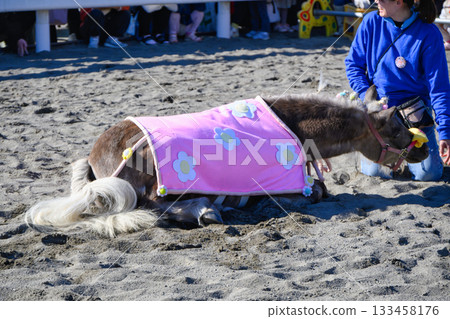 Shinozaki Ponyland, Edogawa Ward, Tokyo, 50th Anniversary Pony Festival, Ohagi Performance Shinozaki Ponyland, Edogawa Ward, Tokyo, 50th Anniversary Pony Festival, Ohagi Performance 133458176