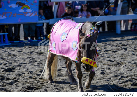 Shinozaki Ponyland, Edogawa Ward, Tokyo, 50th Anniversary Pony Festival, Ohagi Performance 133458178