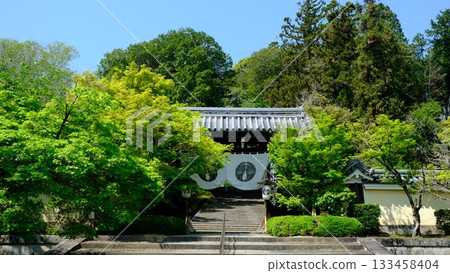 Fresh greenery at the gate of Ao Komyo-ji Temple Fresh greenery at the gate of Ao Komyo-ji Temple 133458404