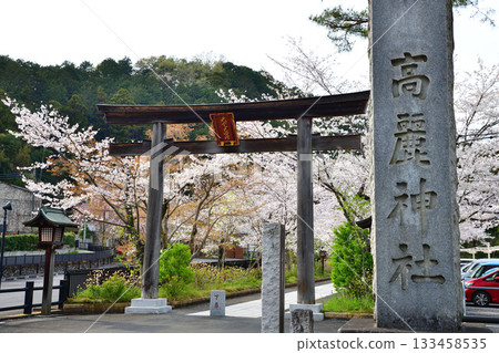 Koma Shrine, Torii Gate, Cherry Blossom Season, Hidaka City, Saitama Prefecture 133458535