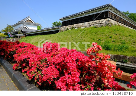 Spring flowers blooming at Shoryuji Castle Park Spring flowers blooming at Shoryuji Castle Park 133458710