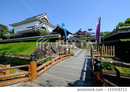Spring flowers blooming at Shoryuji Castle Park 133458712