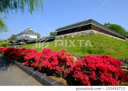 春天鮮花盛開的聖隆寺城公園 春天鮮花盛開的聖隆寺城公園 133458713