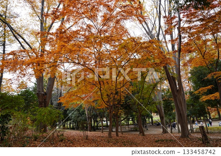 埼玉縣上尾丸山公園 133458742