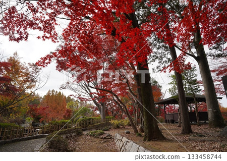 Ageo Maruyama Park, Saitama Prefecture 133458744