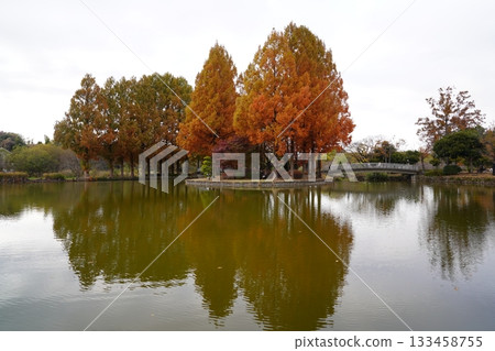 埼玉縣上尾丸山公園 埼玉縣上尾丸山公園 133458755