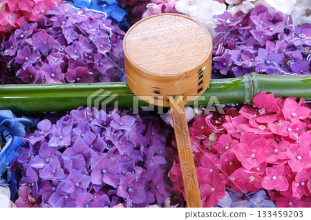 淨水池邊的湯匙和繡球花圖片素材 133459203