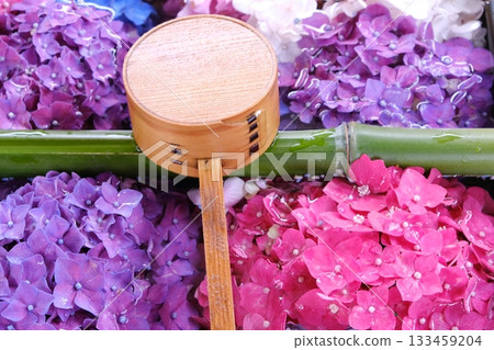 淨水池邊的湯匙和繡球花圖片素材 133459204