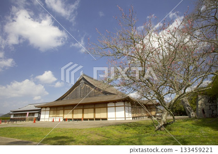 Sasayama Castle Ruins Plum Tree/Japan Heritage/Japan's Top 100 Castles Sasayama Castle Ruins Plum Tree/Japan Heritage/Japan's Top 100 Castles 133459221