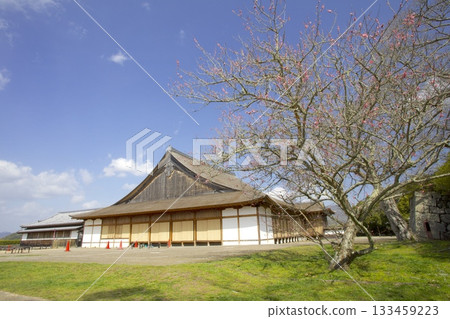 笹山城遺址梅樹/日本遺產/日本百座名城 笹山城遺址梅樹/日本遺產/日本百座名城 133459223