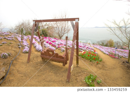 獅子島：遍佈苔蘚福祿考的“空中花田” 133459259