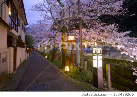 城崎溫泉木屋町通的夜櫻 133459269