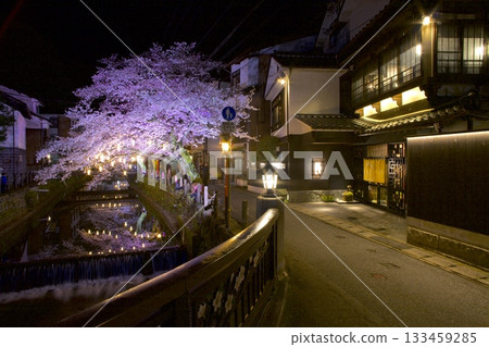 城崎溫泉木屋町通的夜櫻 133459285