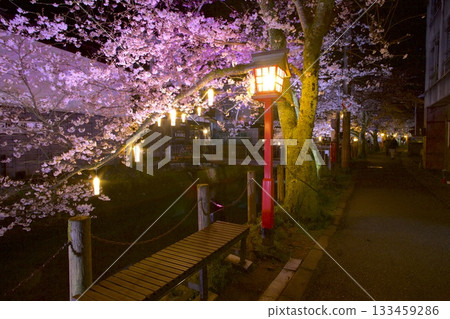 城崎溫泉木屋町通的夜櫻 城崎溫泉木屋町通的夜櫻 133459286