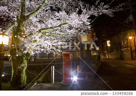 城崎溫泉 - 月見橋與夜櫻 133459288