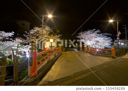 城崎溫泉、藥師橋與夜晚的櫻花 133459289