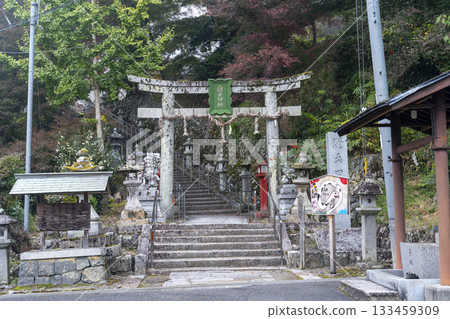 桑田神社秋葉季 桑田神社秋葉季 133459309