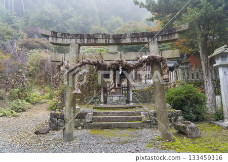 桑田神社 - 九頭龍大神 桑田神社 - 九頭龍大神 133459316