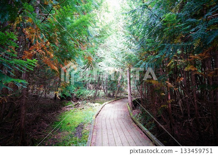 Nikko, Tochigi Prefecture Nikko, Tochigi Prefecture 133459751