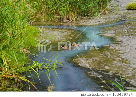 Tochigi Prefecture, Nikko, Oku-Nikko Yumoto Onsen Hot Spring Source 133459754