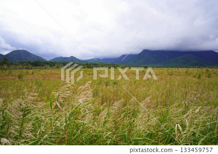 Tochigi Prefecture Nikko Senjogahara 133459757