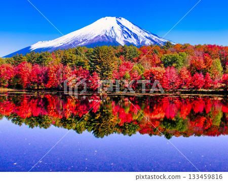 加拿大勞倫高原美麗的秋葉 133459816