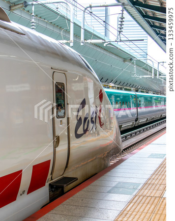 Tokyo Station East Eye Tokyo Station East Eye 133459975