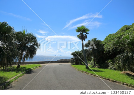 生月大橋路邊站的熱帶風光 生月大橋路邊站的熱帶風光 133460127