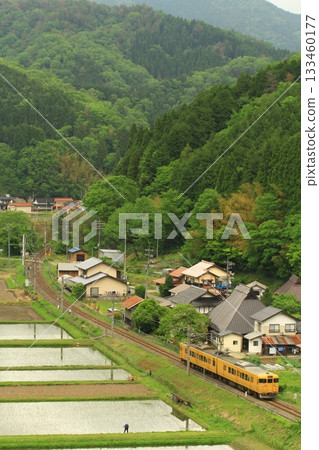 白眉線「115系地方列車」×里山 133460177