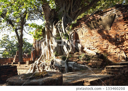 泰國阿瑜陀耶歷史公園內的瑪哈泰寺景色 泰國阿瑜陀耶歷史公園內的瑪哈泰寺景色 133460208
