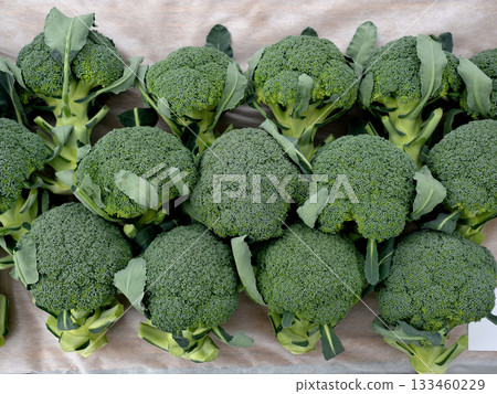 收穫的西蘭花 133460229