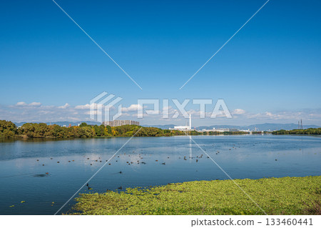 淀川風景 大阪市 淀川風景 大阪市 133460441