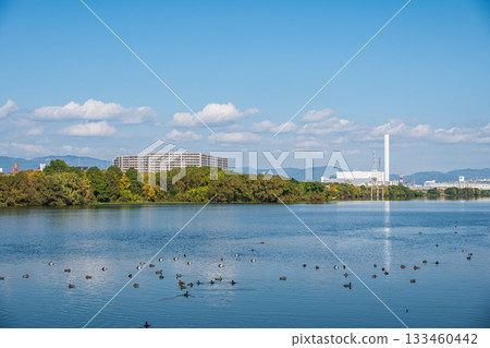 淀川風景 大阪市 133460442