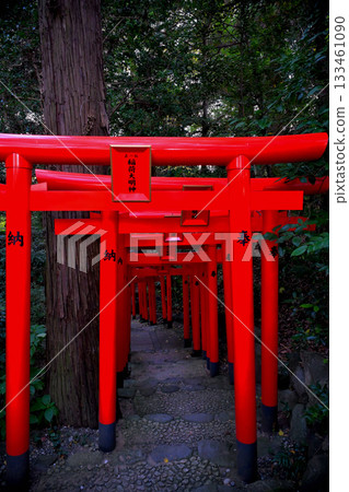 稻荷大社鳥居 133461090